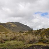  Ecuador